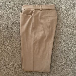 Express Editor High Waisted Pant